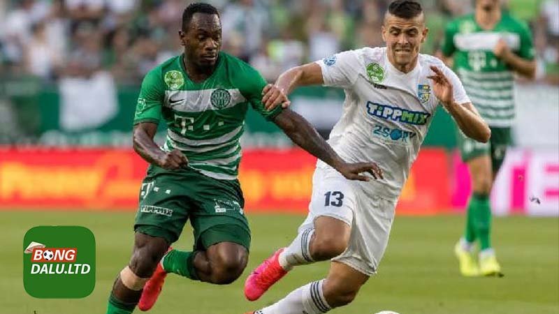 Bongdalu soi kèo góc Ferencvarosi vs The New Saints